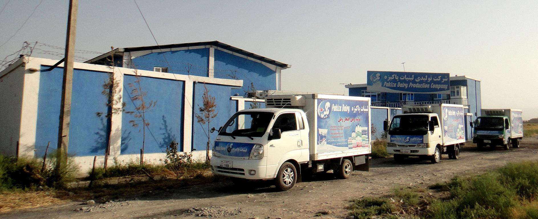 text describing
the image